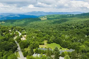 102 Spring Branch Rd, Beech Mountain, NC 28604 - Photo 30