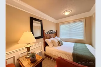 301 Pinnacle Inn Road #1203, Beech Mountain, NC 28604 - Photo 6