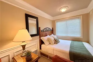 301 Pinnacle Inn Rd, Beech Mountain, NC 28604 - Photo 6