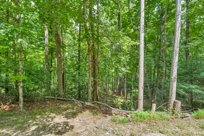 Lots Er 11-14 Powder Horn Mountain Rd Road, Deep Gap, NC 28618 - Photo 6