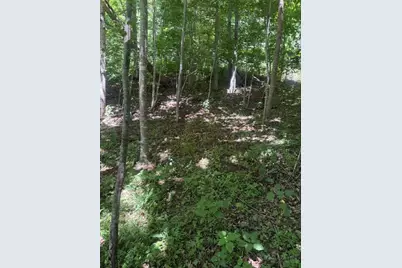 Tbd Lot 37B Shady Valley Drive, West Jefferson, NC 28694 - Photo 2
