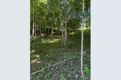 Tbd Lot 37B Shady Valley Drive, West Jefferson, NC 28694 - Photo 4