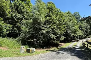 Tbd Lot 37B Shady Valley Dr, West Jefferson, NC 28694 - Photo 1