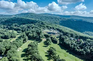 101 Castlehill Ln, Beech Mountain, NC 28604 - Photo 46