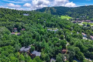 107 Beechwood Ln, Beech Mountain, NC 28604 - Photo 24