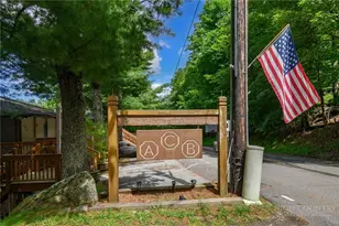 107 Beechwood Ln, Beech Mountain, NC 28604 - Photo 22