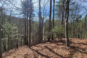 Tbd (Lot 72) Creekside Meadows Dr, Fleetwood, NC 28626 - Photo 1