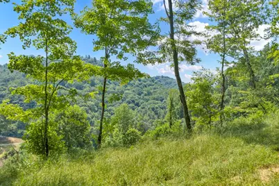 Lot 3 Horseshoe Trail, Lansing, NC 28643 - Photo 10
