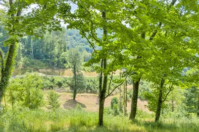 Lot 3 Horseshoe Trail, Lansing, NC 28643 - Photo 10