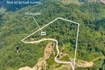 Lot 3 Horseshoe Trail, Lansing, NC 28643 - Photo 4