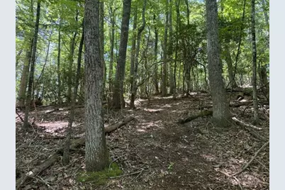 Tbd Lot 30 High Meadows Court, Fleetwood, NC 28626 - Photo 6