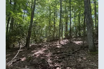 Tbd Lot 20 High Meadows Lane, Fleetwood, NC 28626 - Photo 8