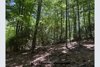 Tbd Lot 20 High Meadows Lane, Fleetwood, NC 28626 - Photo 2