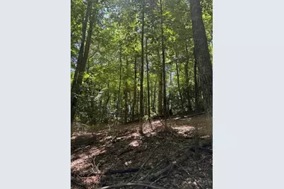 Tbd Lot 20 High Meadows Lane, Fleetwood, NC 28626 - Photo 10