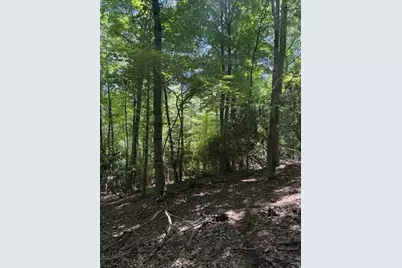 Tbd Lot 20 High Meadows Lane, Fleetwood, NC 28626 - Photo 4