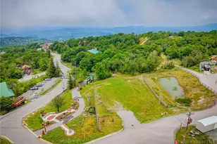 103 Mid Holiday Ln, Beech Mountain, NC 28604 - Photo 38