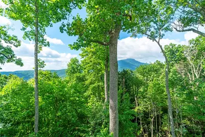 142 Summit Point Trail, Banner Elk, NC 28604 - Photo 18