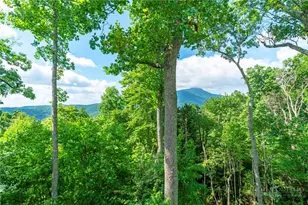 142 Smt Pt Trl, Banner Elk, NC 28604 - Photo 18