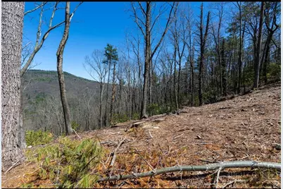 84 Wilderness Reserve Parkway, Deep Gap, NC 28618 - Photo 8