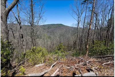 84 Wilderness Reserve Parkway, Deep Gap, NC 28618 - Photo 10