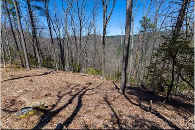 84 Wilderness Reserve Parkway, Deep Gap, NC 28618 - Photo 6