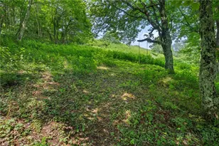 185 Harper Trail, Boone, NC 28607 - Photo 42