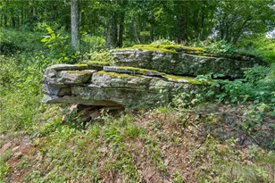 185 Harper Trail, Boone, NC 28607 - Photo 44