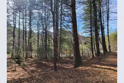Tbd (Lot 73) Creekside Meadows Drive, Fleetwood, NC 28626 - Photo 1