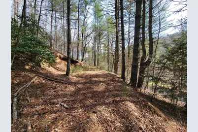 Tbd (Lot 73) Creekside Meadows Drive, Fleetwood, NC 28626 - Photo 4