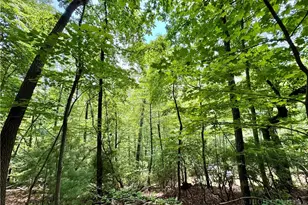 35 Acres Lot 23 Bear Track Ln, Lenoir, NC 28645 - Photo 1