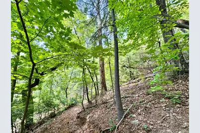 35 Acres Lot 23 Bear Track Lane, Lenoir, NC 28645 - Photo 12