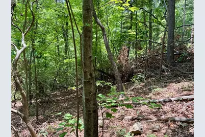 35 Acres Lot 23 Bear Track Lane, Lenoir, NC 28645 - Photo 8