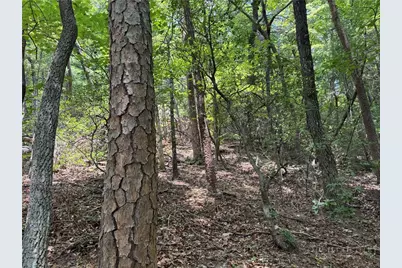 35 Acres Lot 23 Bear Track Lane, Lenoir, NC 28645 - Photo 8
