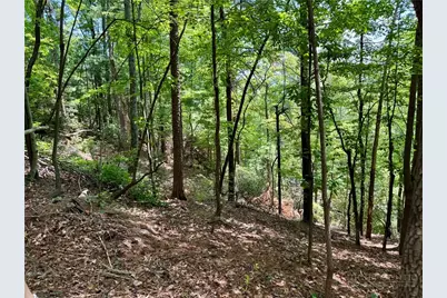 35 Acres Lot 23 Bear Track Lane, Lenoir, NC 28645 - Photo 6