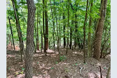35 Acres Lot 23 Bear Track Lane, Lenoir, NC 28645 - Photo 6