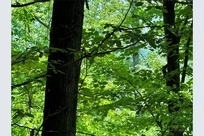 35 Acres Lot 23 Bear Track Lane, Lenoir, NC 28645 - Photo 4
