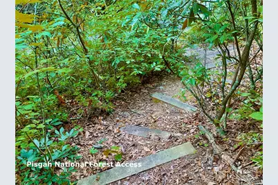 35 Acres Lot 23 Bear Track Lane, Lenoir, NC 28645 - Photo 14