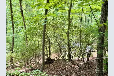 35 Acres Lot 23 Bear Track Lane, Lenoir, NC 28645 - Photo 10