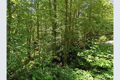 Lot 29 Chickasaw Trail, Blowing Rock, NC 28605 - Photo 24