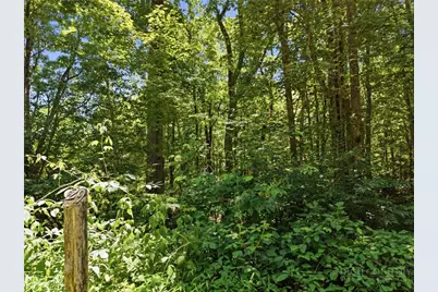 Lot 29 Chickasaw Trail, Blowing Rock, NC 28605 - Photo 1