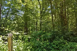 Lot 29 Chickasaw Trail, Blowing Rock, NC 28605 - Photo 1