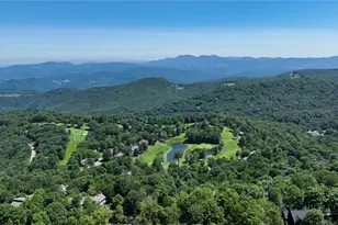 115 N Pinnacle Ridge Rd, Beech Mountain, NC 28604 - Photo 40