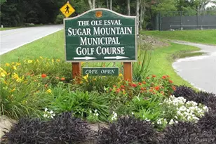 200 Glenwood Ln, Sugar Mountain, NC 28604 - Photo 38