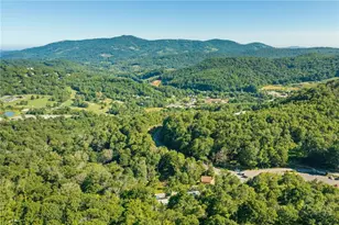 174 Grouse Moor Dr, Sugar Mountain, NC 28604 - Photo 44