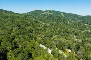 174 Grouse Moor Dr, Sugar Mountain, NC 28604 - Photo 38