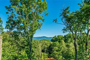 174 Grouse Moor Dr, Sugar Mountain, NC 28604 - Photo 22