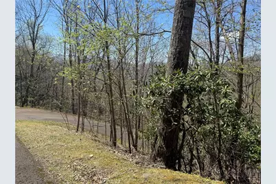 24 Elk Mountain Loop, Newland, NC 28657 - Photo 14