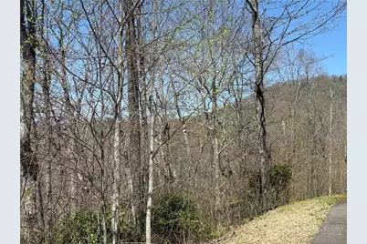 24 Elk Mountain Loop, Newland, NC 28657 - Photo 10