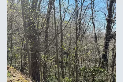 24 Elk Mountain Loop, Newland, NC 28657 - Photo 8
