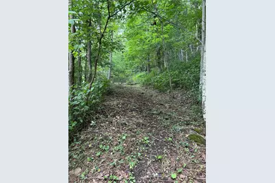 Tbd Little Tree Road, West Jefferson, NC 28694 - Photo 8
